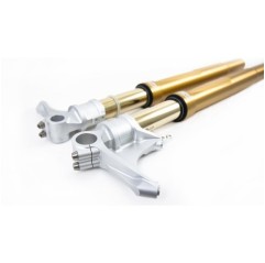 Forcella FGRT 200 Ohlins - 4