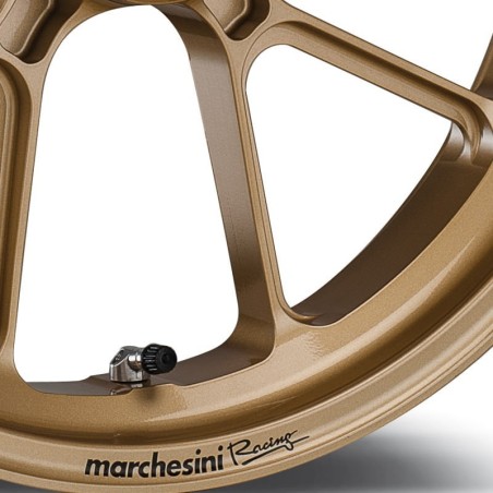 Marchesini M10RS Corse Psteriore Bibraccio (FM)