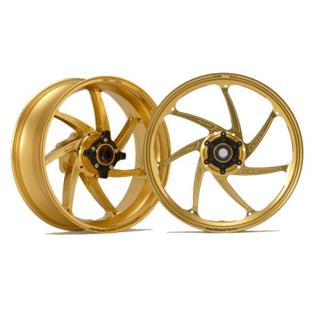 Marchesini M7R Genesi Posteriore Bibraccio (FS)