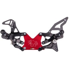 Coppia di Pedane Aprilia RSV4 - Tuono V4