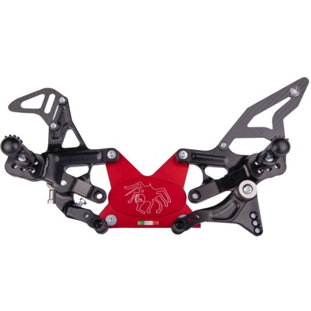Coppia di Pedane Aprilia RSV4 - Tuono V4