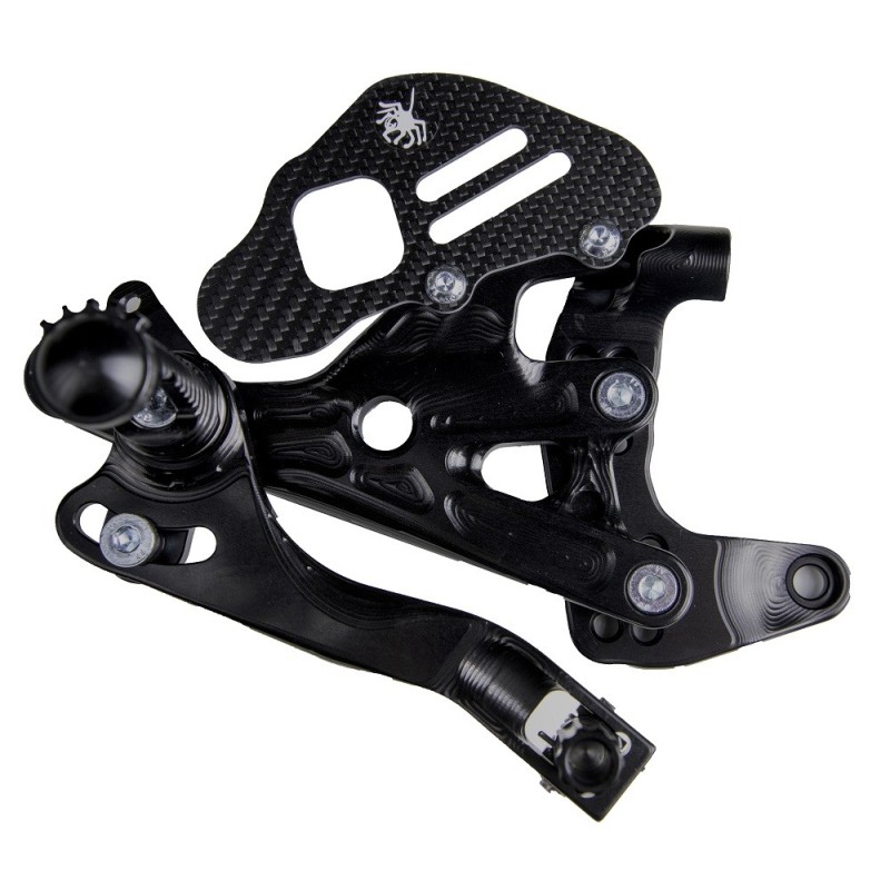 Coppia di Pedane Ducati Panigale V2 SSP Coppia di Pedane Ducati Panigale V2 SSP