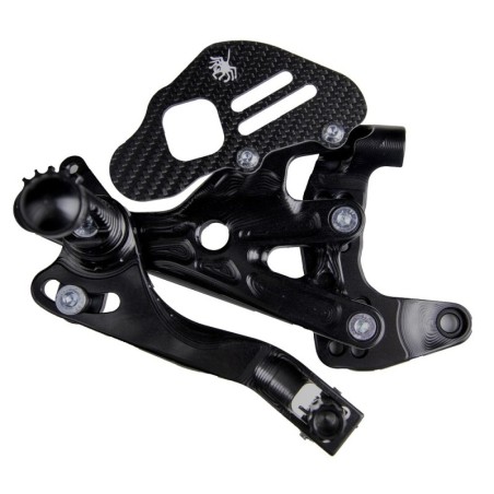 Coppia di Pedane Ducati Panigale V2 SSP