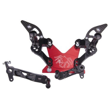 Coppia di Pedane Ducati  848-1098-1198