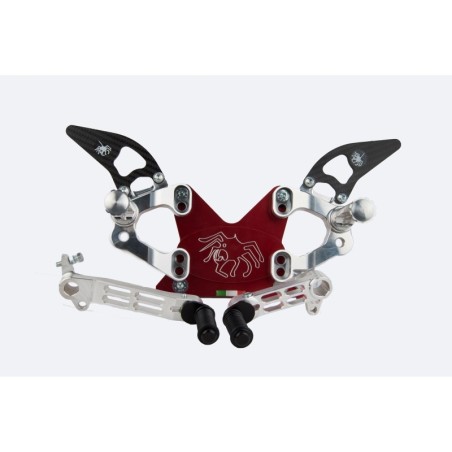 Coppia di Pedane Ducati 748-916-996-998