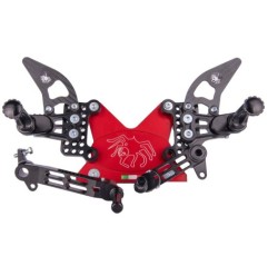 Coppia di Pedane Ducati 749-999