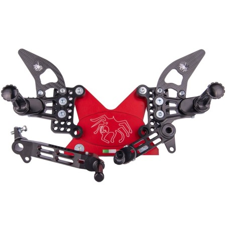 Coppia di Pedane Ducati 749-999