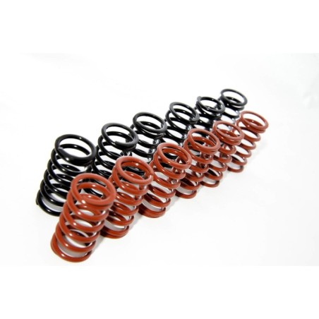Molle Frizioni Ducati