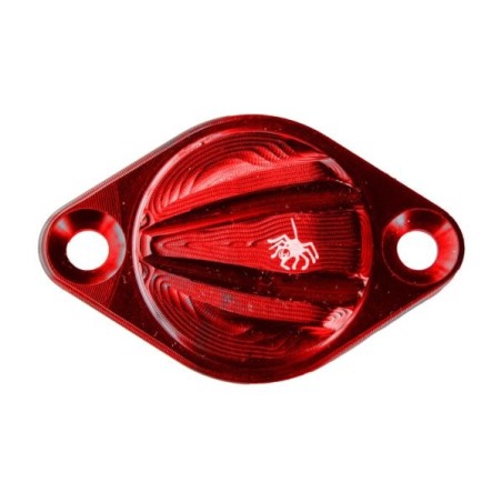 Coperchio Ispezione Fase Ducati