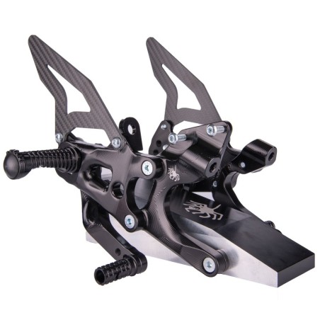 Coppia di Pedane Ducati Panigale V4 - V4S - V4R