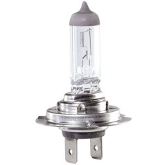 Lampadina H7 12V55W LL