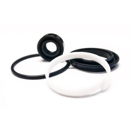 Kit guarnizioni di ricambio per pistoncino frizione STM STM - 1