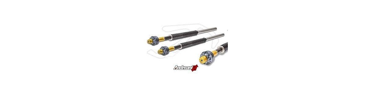 Cartuccia Forcella Moto