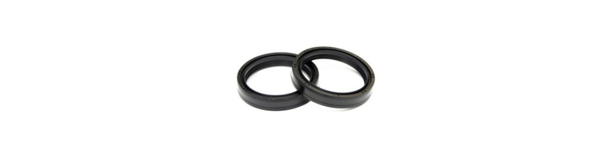 Paraolio Forcella Moto