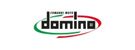 Domino